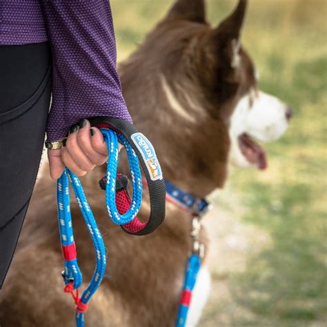 How the Dog Daddy Magiclasp Leash Can Keep Your Dog Safe and Secure